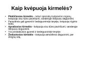 Aerobinis kvepavimas 16 puslapis