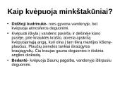 Aerobinis kvepavimas 18 puslapis