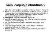 Aerobinis kvepavimas 20 puslapis