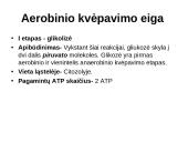 Aerobinis kvepavimas 5 puslapis