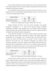 AB Vilkyškių pieninė veiklos analizė 15 puslapis