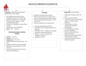 Kraujo schema 2 puslapis