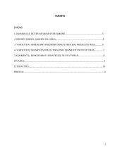 Pasirinktos įmonės X rinkodaros planas 2 puslapis