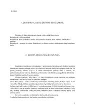 Pasirinktos įmonės X rinkodaros planas 3 puslapis