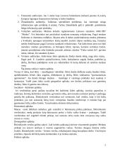 Pasirinktos įmonės X rinkodaros planas 5 puslapis