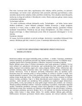 Pasirinktos įmonės X rinkodaros planas 6 puslapis