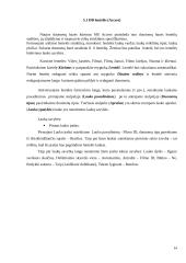 Videotekos projektas 14 puslapis