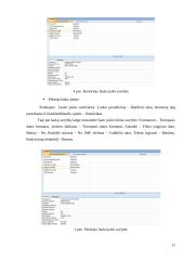 Videotekos projektas 17 puslapis