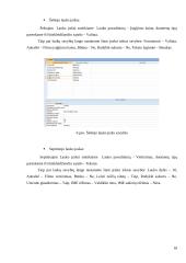 Videotekos projektas 18 puslapis