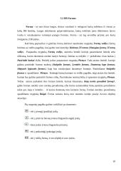 Videotekos projektas 20 puslapis