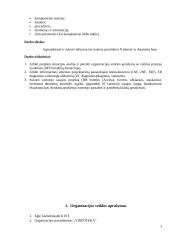 Videotekos projektas 3 puslapis