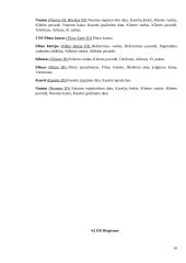 Videotekos projektas 10 puslapis