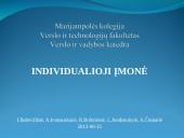 Vadyba. Individuali įmonė