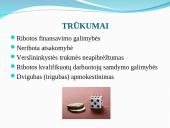 Vadyba. Individuali įmonė 17 puslapis