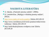 Vadyba. Individuali įmonė 19 puslapis