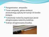 Vadyba. Individuali įmonė 9 puslapis