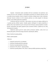 Sąnaudų apskaita UAB ,,DANAVA" 2 puslapis