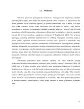 Sąnaudų apskaita UAB ,,DANAVA" 12 puslapis