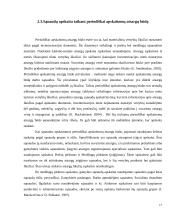 Sąnaudų apskaita UAB ,,DANAVA" 17 puslapis