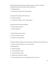 Sąnaudų apskaita UAB ,,DANAVA" 18 puslapis