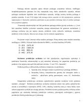 Sąnaudų apskaita UAB ,,DANAVA" 5 puslapis