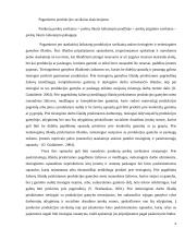 Sąnaudų apskaita UAB ,,DANAVA" 6 puslapis