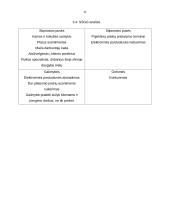 Marketingo planas UAB "Onninen" 12 puslapis