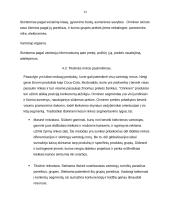 Marketingo planas UAB "Onninen" 14 puslapis