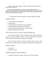 Marketingo planas UAB "Onninen" 7 puslapis