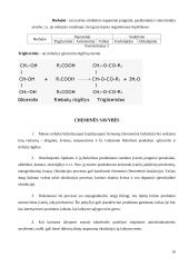Vištienos sudėties, savybių kitimo ir vertės analizė 11 puslapis