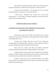 Vištienos sudėties, savybių kitimo ir vertės analizė 19 puslapis