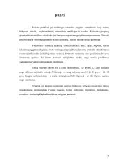 Vištienos sudėties, savybių kitimo ir vertės analizė 4 puslapis