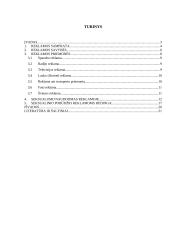 Seksualaus įvaizdžio panaudojimo atveju reklamoje analizė 2 puslapis