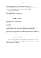 Seksualaus įvaizdžio panaudojimo atveju reklamoje analizė 11 puslapis