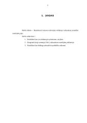 Seksualaus įvaizdžio panaudojimo atveju reklamoje analizė 3 puslapis