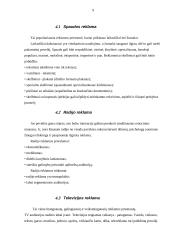 Seksualaus įvaizdžio panaudojimo atveju reklamoje analizė 9 puslapis