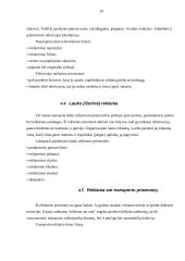 Seksualaus įvaizdžio panaudojimo atveju reklamoje analizė 10 puslapis