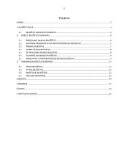 Biudžetų esmė, finansinių ir veiklos biudžetų sudarymas 2 puslapis