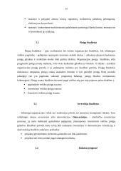 Biudžetų esmė, finansinių ir veiklos biudžetų sudarymas 12 puslapis