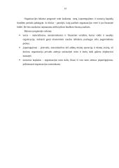 Biudžetų esmė, finansinių ir veiklos biudžetų sudarymas 13 puslapis