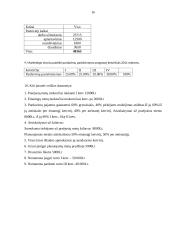 Biudžetų esmė, finansinių ir veiklos biudžetų sudarymas 16 puslapis