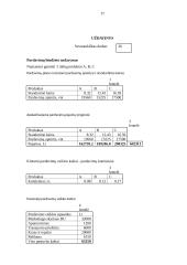 Biudžetų esmė, finansinių ir veiklos biudžetų sudarymas 17 puslapis