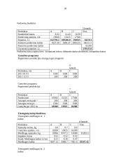 Biudžetų esmė, finansinių ir veiklos biudžetų sudarymas 18 puslapis