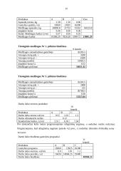 Biudžetų esmė, finansinių ir veiklos biudžetų sudarymas 19 puslapis