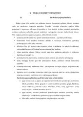 Biudžetų esmė, finansinių ir veiklos biudžetų sudarymas 6 puslapis