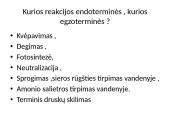 Termochemija 6 puslapis