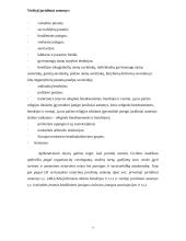 Juridinio asmens teisnumo ir veiksnumo samprata,teisnumo ir veiksnumo atsiradimas 7 puslapis