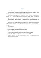 Lietuvos ir Norvegijos biudžeto analizė 2 puslapis
