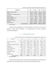 Lietuvos ir Norvegijos biudžeto analizė 11 puslapis