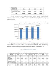 Lietuvos ir Norvegijos biudžeto analizė 4 puslapis